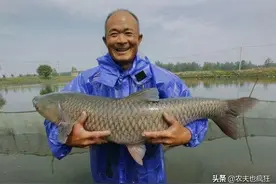 四大家鱼之首的青鱼，为何却被称之为“鬼鱼”、“索命鱼”？图片