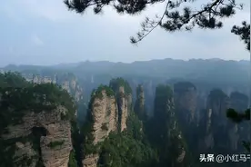 世界自然遗产武陵源行记（一）——黄石寨、金鞭溪、十里画廊图片