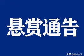 看到请立即报警！公开通缉15名在逃人员图片