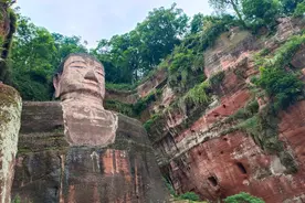 巨物恐惧症一看便知，你能坚持到第几张图片