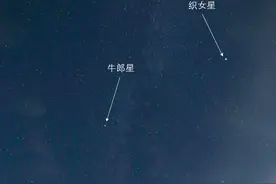 七夕后的牛郎织女，又“异地”了？图片
