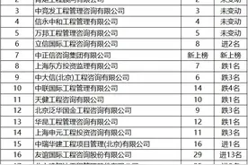 造价咨询企业总收入排名！这家企业第一次上榜就杀入前十，啥来头图片