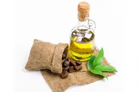 为什么说山茶油是稀有、珍贵的代名词？液体黄金，真不是吹出来的图片