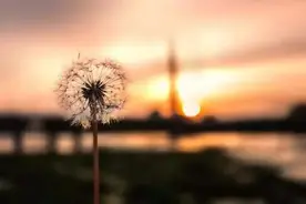 良知记忆，全社会伸手救助真情保姆图片