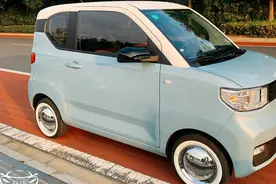 国人为什么不喜欢皮卡？网友：回趟老家就明白了，很现实的事图片