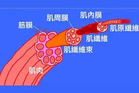 有种伤不起的痛，叫筋膜炎！怎么治？医生教您1个省钱的好办法图片