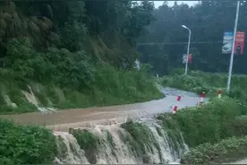 外来物种入侵？四川村民捕获大量凶猛“鲨虎鱼”，村民：鲜嫩好吃图片