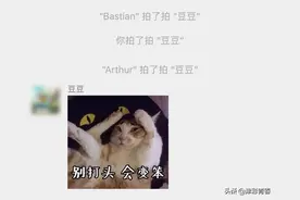 微信又叒叕上线一个新功能！网友：想起QQ图片