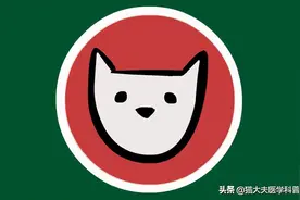 医生自曝内幕：为什么看病总会开很多检查？图片