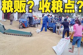 小麦收购价格1.22元，下乡粮贩和收粮点相同，农户该卖给谁？图片