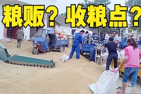 小麦收购价格1.22元，下乡粮贩和收粮点相同，农户该卖给谁？图片