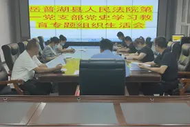 谈体会收获 讲差距不足 定改进举措 促成效转化——岳普湖县法院党支部召开党史学习教育专题组织生活会图片