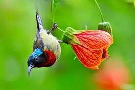 “小恩养贵人，大恩养仇人”：身边的四个大恩人，千万别伤害他们图片