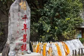 云南千年菩提古树，一夜之间竟长出“佛手”，连高僧都前来朝拜图片