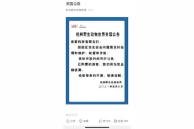 动物园瞒报金钱豹外逃，“瞒豹”之患猛于豹图片