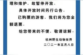 动物园瞒报金钱豹外逃，“瞒豹”之患猛于豹图片