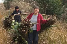 离婚转身嫁给小叔子，继续跟前夫生活，现实远比电视狗血图片