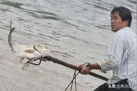暴雨后冲上来1条大鱼，村民靠近后发现不对劲图片