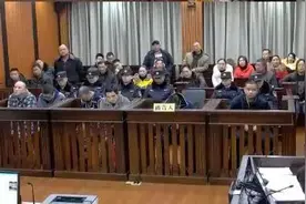 孝感1.6亿元特大生猪注水案一审宣判：六被告最高被判无期图片