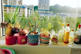 女人过了五十岁，要想在家不受气，听听她们怎么说图片