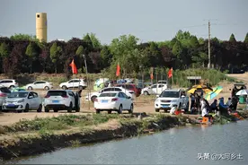 钓友五一假期垂钓黑坑，钓费100元一上午仅上钩一条：纯为消遣图片