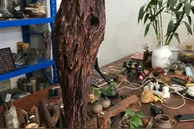 缅甸小叶降真香图片