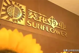 葵花药业原董事长关彦斌判刑11年 两女儿急将6亿元现金银行理财图片