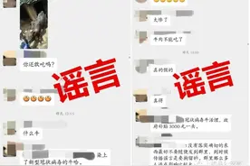 牛也染上了新型冠状病毒？造谣者被依法处置图片
