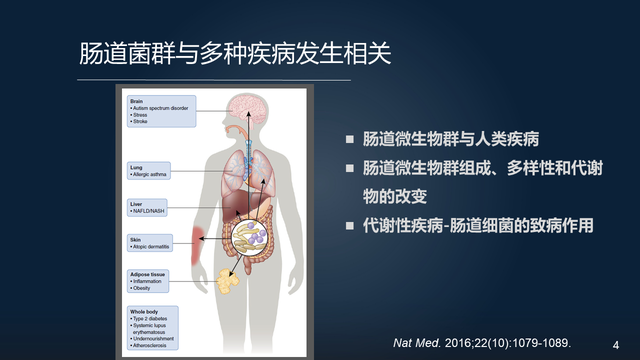 庞艳莉：22分钟详解肠道菌群与代谢疾病