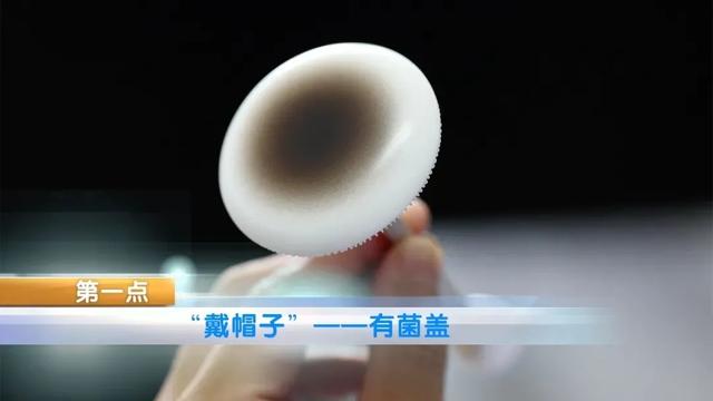致死率达80%！多人因吃这种蘑菇中毒死亡，千万别乱吃了