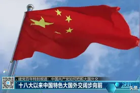 金灿荣：作为一个金庸迷 我认为中国外交做对了这件事图片