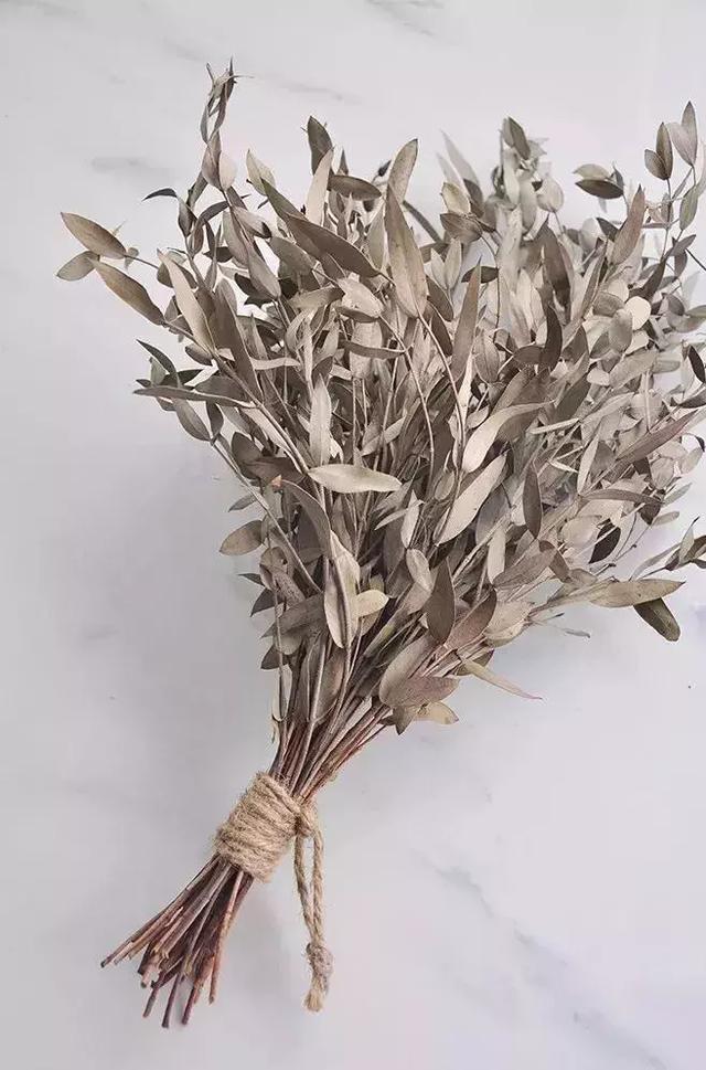 哪些适合自己动手做成干花的花草