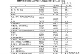 龙岩市2019年城镇非私营单位就业人员年平均工资74605元图片