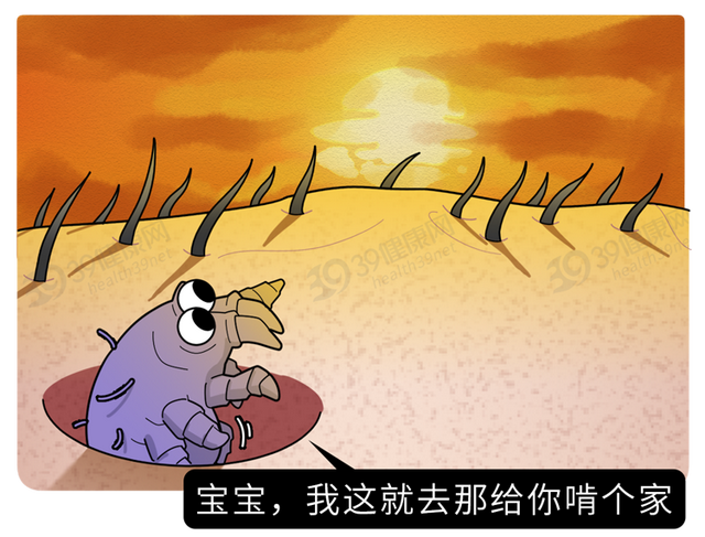 疥螨到底是什么？感染后有何症状？这2种传播途径，男女都要小心
