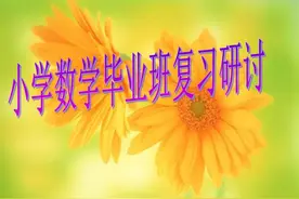 小学毕业班数学总复习二:小数的认识及练习题图片