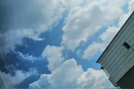 历年法考（司考）通过率统计图片