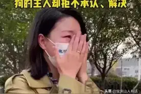 假如“小莉”不帮忙，假如网友不围观，安阳狗主人会给伤者道歉吗图片