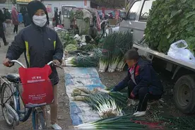 大葱价格为啥翻倍上涨，原因有两点，市民只能按根买图片