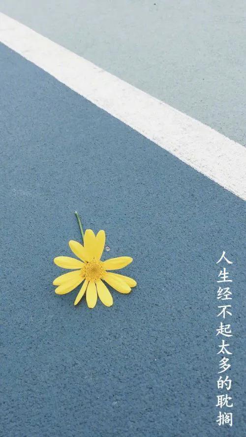 散文：在爱情的世界里，应该有一份懂得