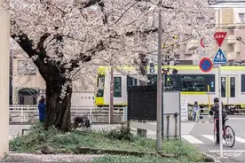 日本京都有轨电车，每辆电车都载着城市的故事图片