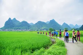 柳州市流山镇田园风光图片