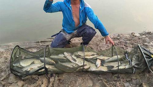 淡水鱼饲料中的这些成分，成了钓鱼人口中的特效饵料