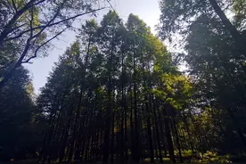 醉氧中的原生态！国庆节去安徽芜湖一个让你养心发呆的好地方图片
