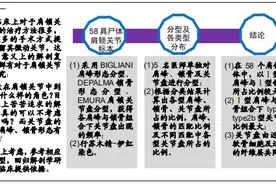 肩锁关节及关节盘的相关解剖学特征图片