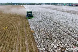 沙湾市双泉合作社：整合土地 助农增收图片