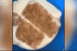 澳妈打开一盒牛奶，竟瞬间凝结成块：太恶心了，毁了一顿早餐图片