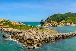 美丽的大电白图片