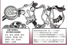 蝴蝶效应的启示：别忽略身边的小事，它可能彻底改变你的人生图片