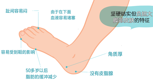 角化过度型足癣脂肪肝