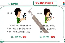 六年级科学(教科版)《第一单元微小世界》视频封面